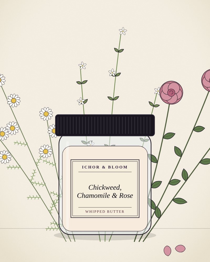Drawing of Chickweed, Chamomile & Rose Whipped Butter