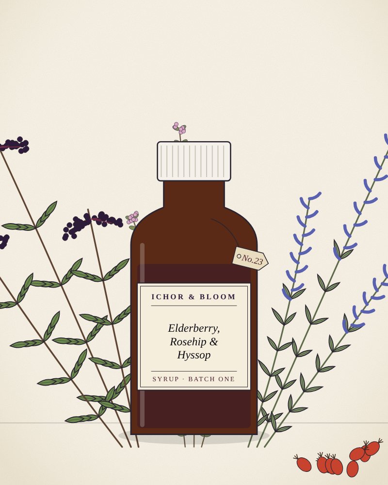 Drawing of Elderberry, Rosehip & Hyssop Syrup
