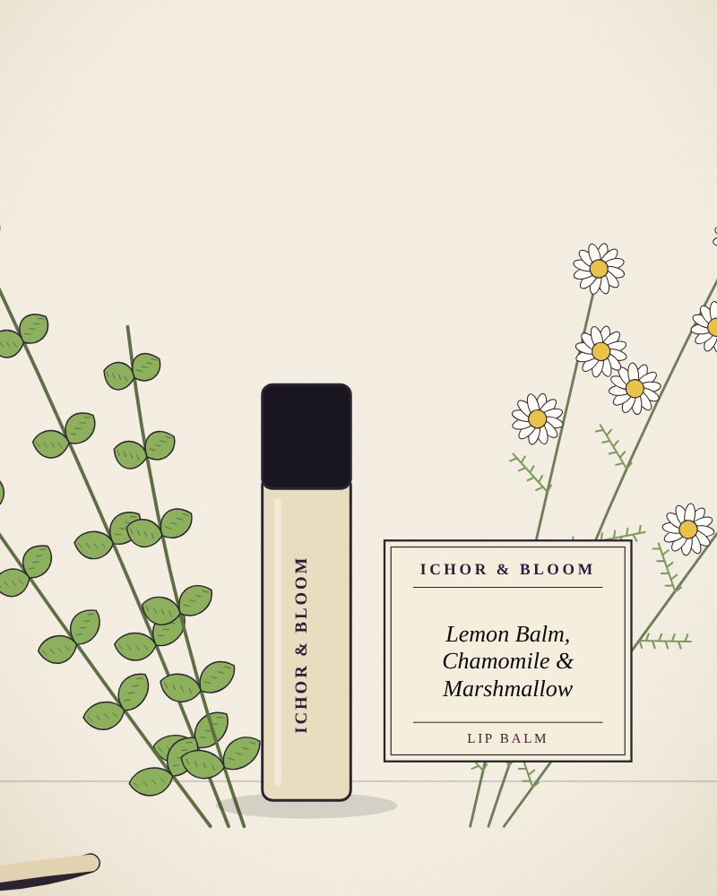 Drawing of Lemon Balm, Chamomile & Marshmallow Lip Balm
