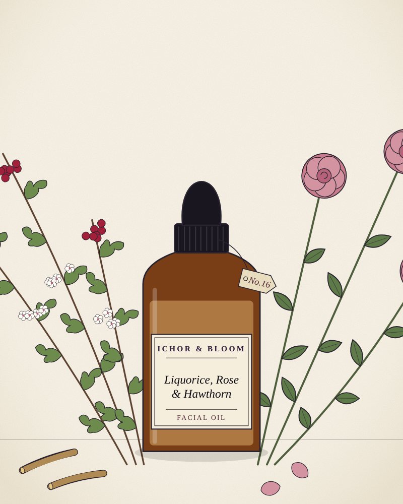Drawing of Liquorice, Rose & Hawthorn Facial Oil