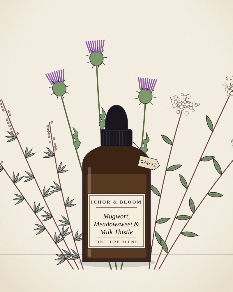 Drawing of Mugwort, Meadowsweet & Milk Thistle