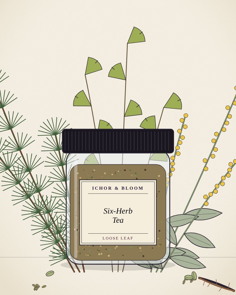 Drawing of Six-Herb Tea