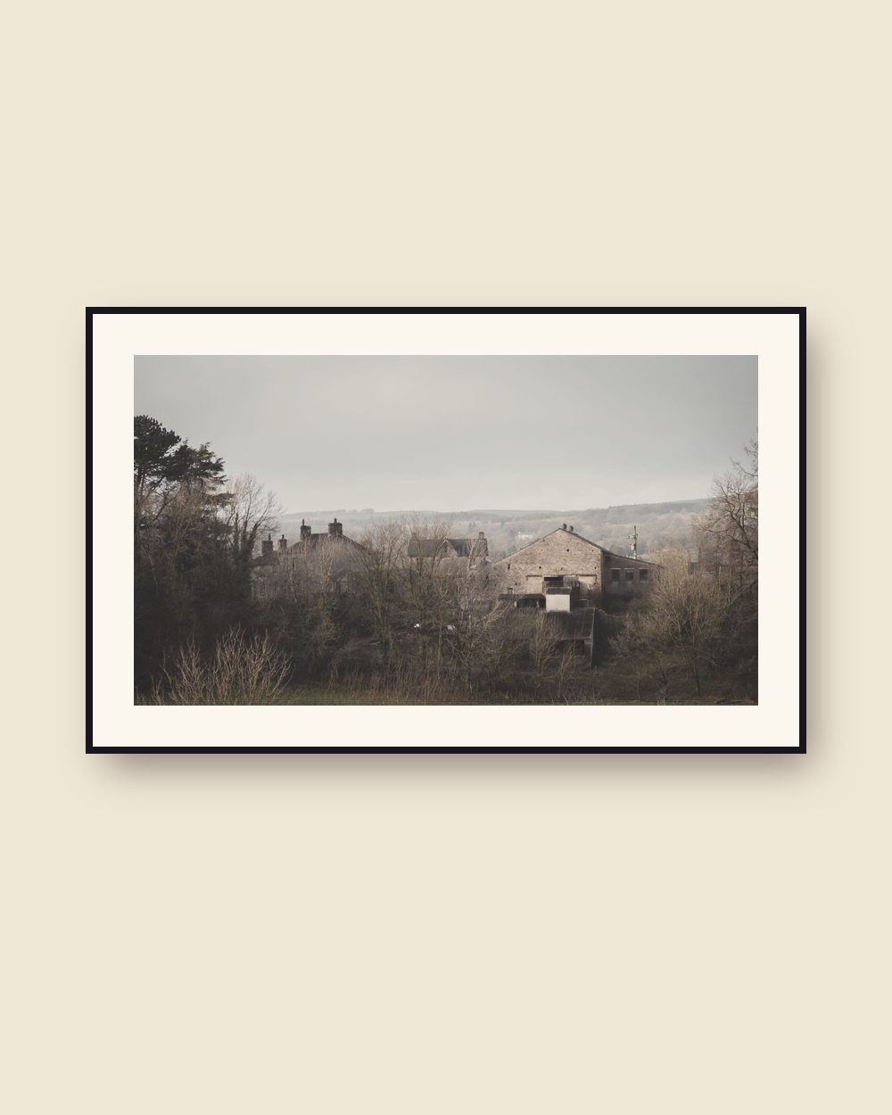 Stone and Bare Trees, photo 1
