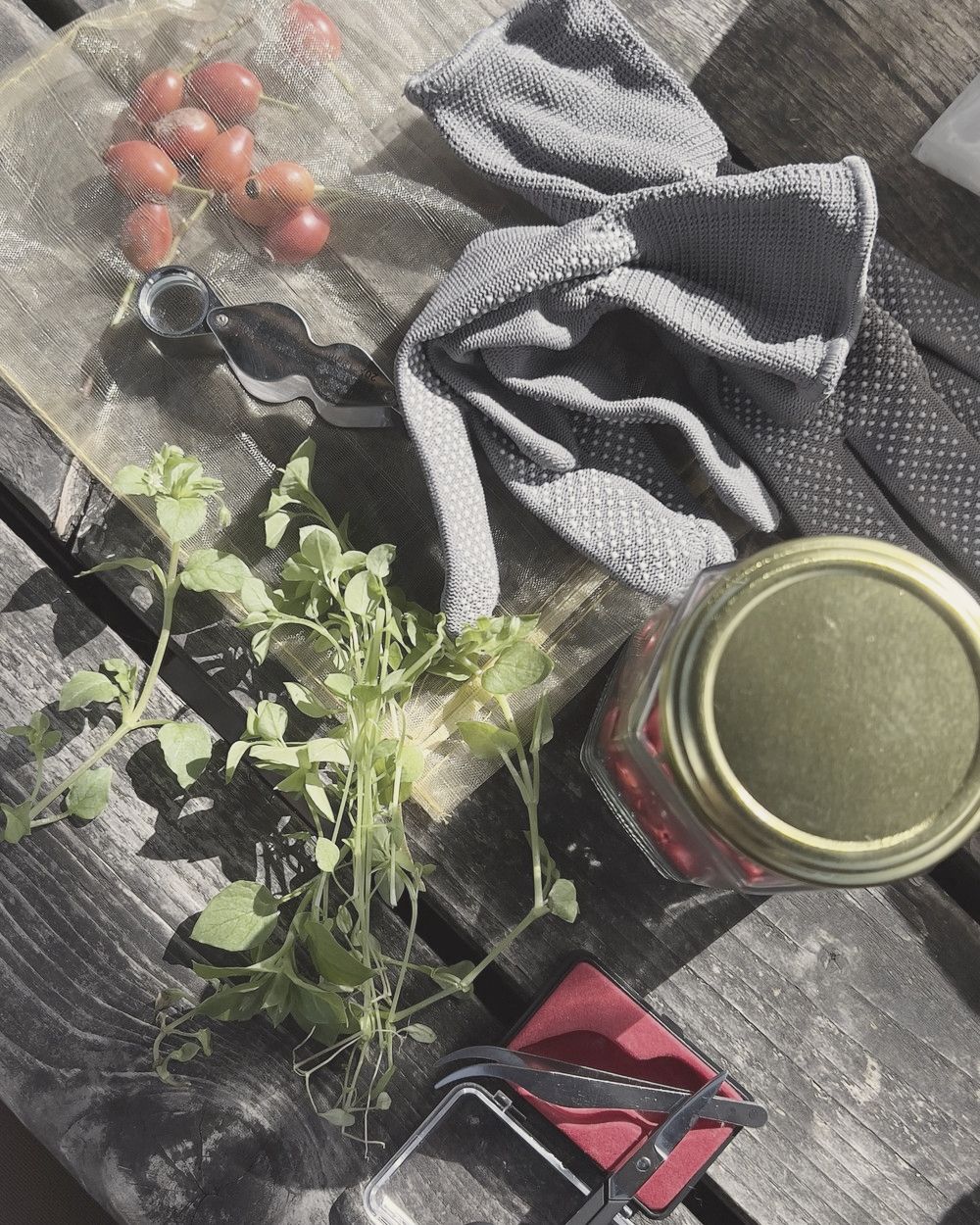 Forager's Kit