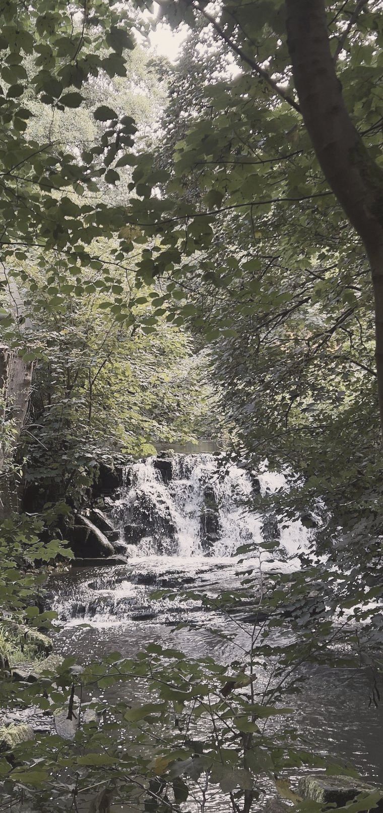A waterfall through the trees