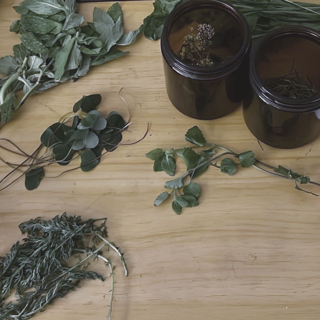 Fresh herbs and amber jars on my bench